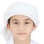 Ahmed Humaid Alqubaisi